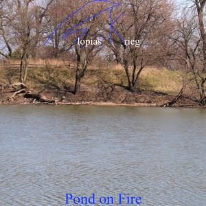 Calmness in the Calamity