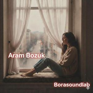 Aram Bozuk