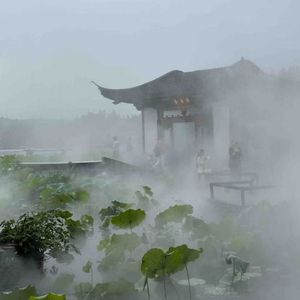 雪中悍刀行_木木