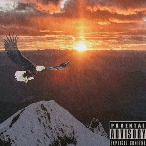 1go flying