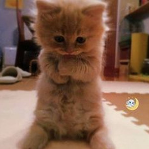 Ice On My Baby (Sped up)