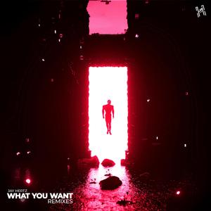 What You Want (Kris m Remix)