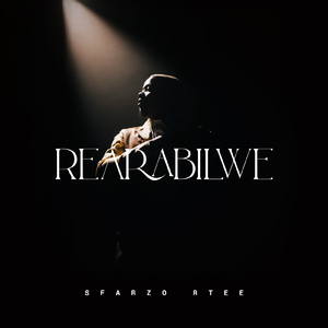 Letting you go (feat. Leandra.Vert)