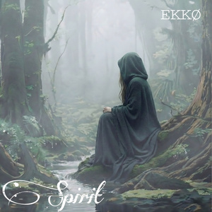 Spirit