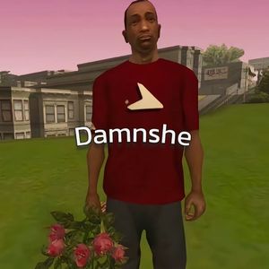 Damnshe!(prod.chajue)