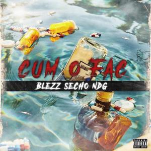 Cum o fac (feat. SECHO, BLEZZ & NDG)