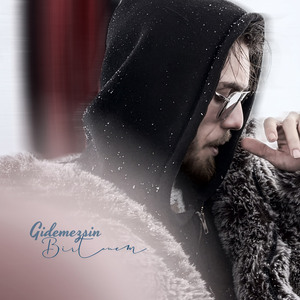 Gidemezsin Birtanem