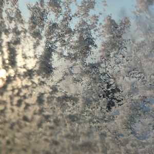 骰子（Cover:马赫/杜逸风）