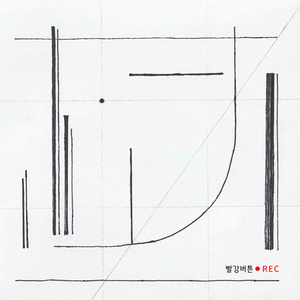 가야금 거문고 병주 - ‘청보’