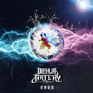 灵魂链接（ proper noun）