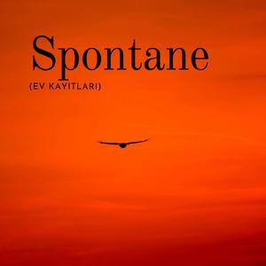 Sen de Beni Seviyorsun