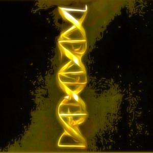 Genetics