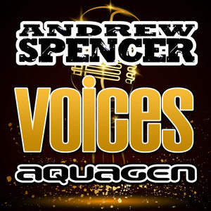 Voices (RainDropz! Remix)