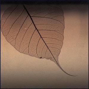 Titanium (feat. Thom Cooper) (Acoustic Version)