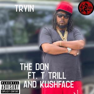 Tryin (feat. T Trill & Kushface)