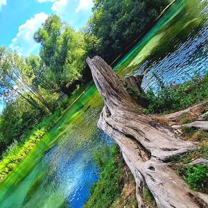 Senza una stupida storia