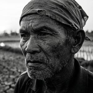 เศษฝุ่นในสายลม v.2