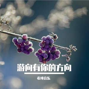 游向有你的方向