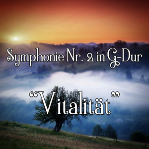 G大调第二交响曲《元气》，Op.12：第四乐章，急板