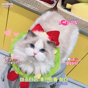 月亮代表我的心