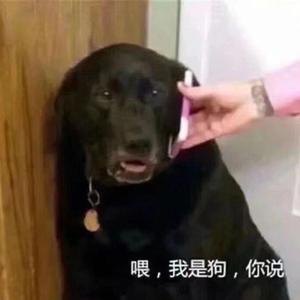 爱人爱人（翻自 木筏）