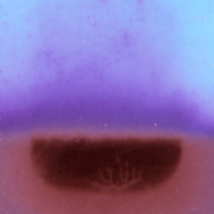 Not Visible But Seeing