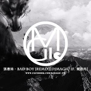 张惠妹-Bad boy (Remix) (DJMagic ft. 簡語卉)（DJ Magic Remix）