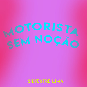 Motorista Sem Noção