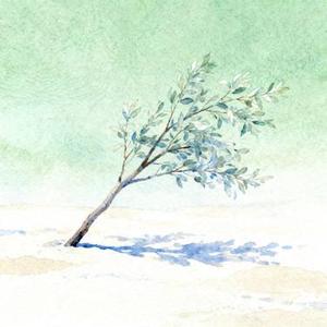 耗尽期待耗尽爱 (Cover 王佳音)