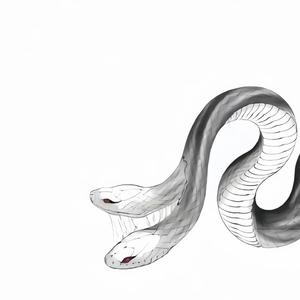 西湖水 纯音乐纵享