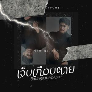 เจ็บเกือบตาย (ฮักเจ้าหลายคือควาย) (Official audio)