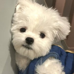 借你手触摸永恒