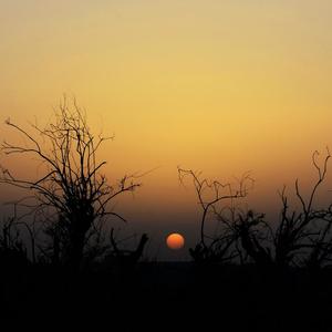 陈粒-易燃易爆炸（瓶子 remix）