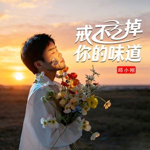 戒不掉你的味道