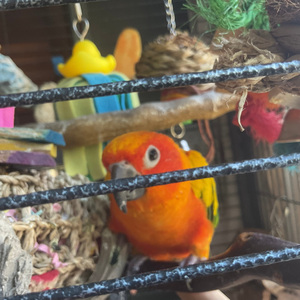 S.U.N (Instrumental)