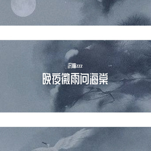 晚夜微雨问海棠