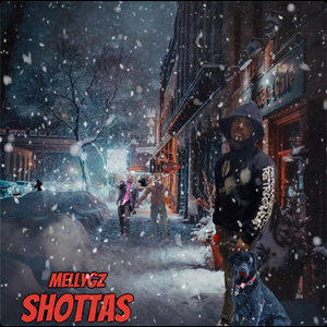 Shottas