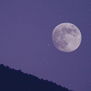 我不会再去相信你了