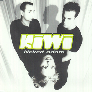 Mit tehetnék? (Radio edit)