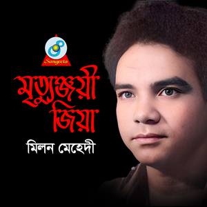 Sadhinotar Ghosok Zia