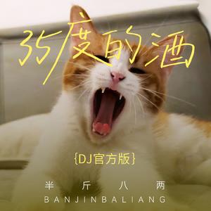 35度的酒 (DJ版)