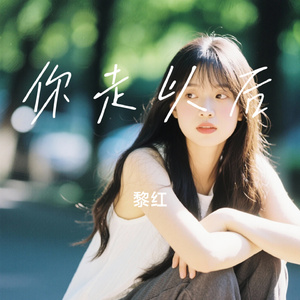 你走以后