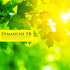 Janacek Sinfonietta JW VI.18 - V. Andante Con Moto-Meno Mosso-Piu Mosso-Maestoso-Allegretto-Allegro-Maestoso-Adagio