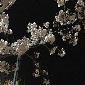 新友谊的长久之谊