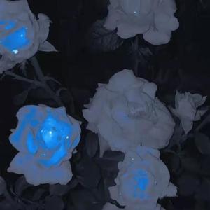 2_安眠药