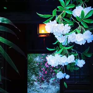 《春夜告白》🌸 by Stomp