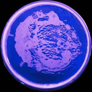 Intro (Breathe/Sleep/Clean/Break)