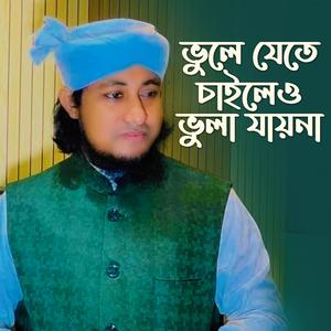 ভুলে যেতে চাইলেও ভুলা যায় না Vule Jete Chaileu Vula Jayna