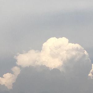 心太软（完整版）