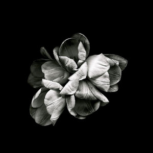 beautifull africa (Original Mix)